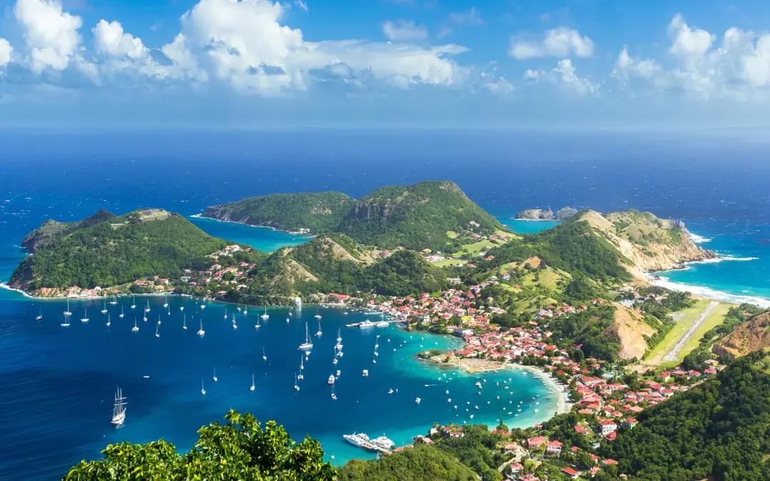 Guadeloupe – Le Papillon Caraïbe